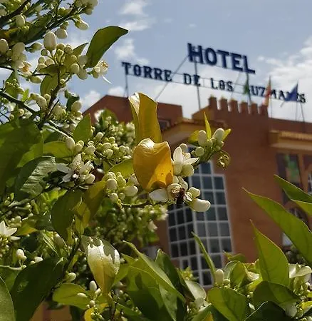 Torre De Guzmanes Hotel 3*